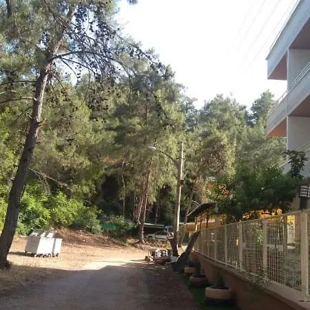 Tayfun 马尔马里斯